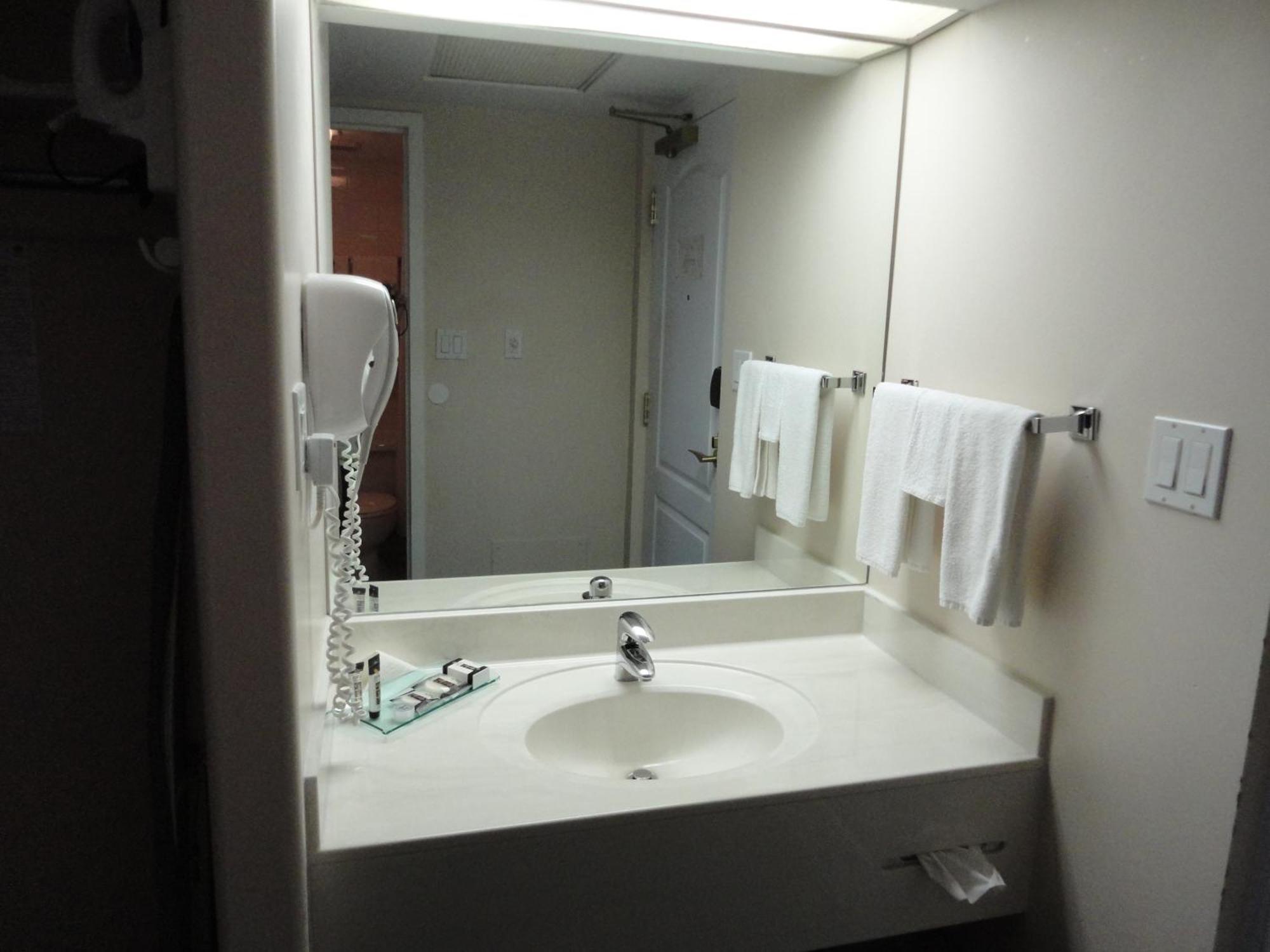 Chateau Louis Hotel & Conference Centre Edmonton Esterno foto